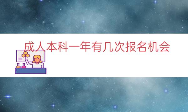 成人本科一年有几次报名机会