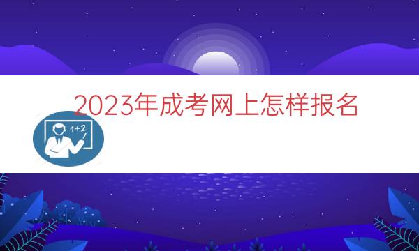 023年成考网上怎样报名"